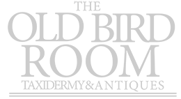 The Old Bird Room