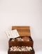 Antique Shell collection