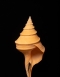 Australian Trumpet Shell