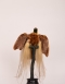 Bird Of Paradise Circa 1890