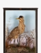 Taxidermy Bittern