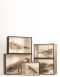 Collection of Sea birds by Henry Murray re-cased in a museum style