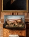 Game Birds Taxidermy Case By J.S. Wright