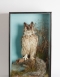Taxidermy Great Horned Owl by TM Williams Circa 1850