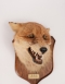 Peter Spicer Fox Mask