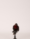 Purple-throated Fruitcrow