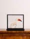 Red-billed hornbill