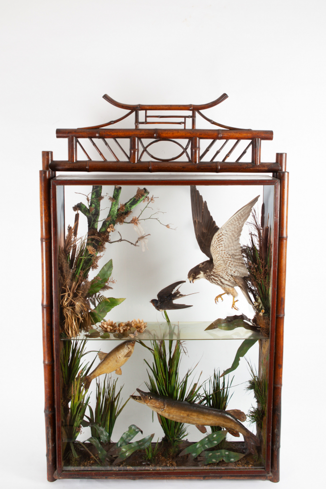 River Taxidermy Diorama Fire Screen By Ashmead And Co Circa 1860