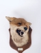 Spicer Fox Mask Healaugh Manor 1962