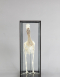 Spoonbill Skeleton