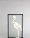 Spoonbill Skeleton