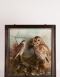 Tawny owl and Sparrowhawk by Henry Murray of Carnforth