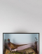 Taxidermy Cased Pheasants By James Gardner
