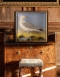 Taxidermy Herring Gull By James Hutchings