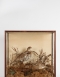 Taxidermy Ruffed Grouse (Circa 1830) Attributed To TM Wiliams