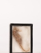 Vintage Seahorse In It?s Original Box