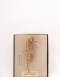 Vintage Seahorse In It?s Original Box